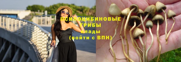 не бодяженный Лихославль