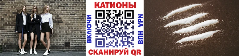 МЯУ-МЯУ 4 MMC  Великий Новгород 