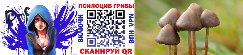 Галлюциногенные грибы прущие грибы  Великий Новгород 