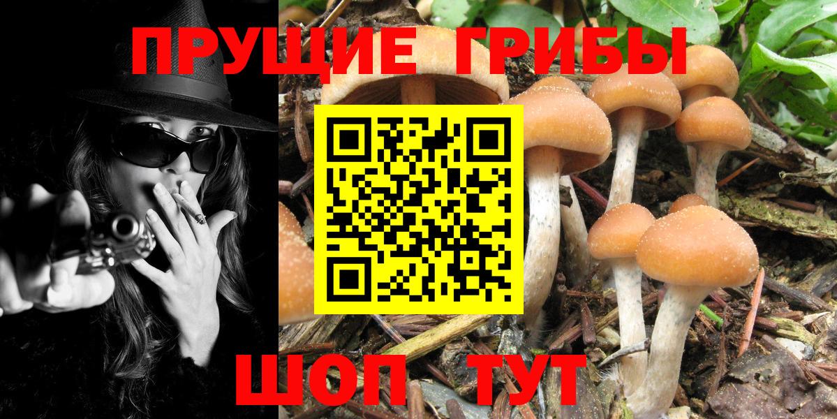 Псилоцибиновые грибы ЛСД Великий Новгород