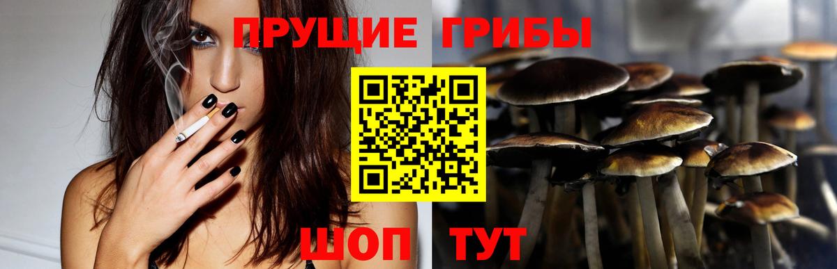 Галлюциногенные грибы GOLDEN TEACHER Великий Новгород